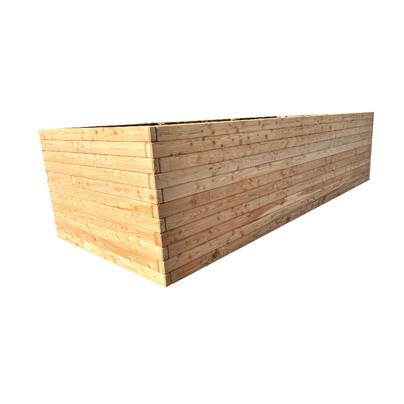 Modřín evropský MASIV výška 63 cm